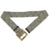Cinture Donna Cintura elastica intrecciata larga per vestito Fibbia in resina quadrata Moda casual Cintura in legno di giada Finta cintura in paglia