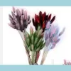 Ghirlande di fiori decorativi 100 Pz / lotto Gradiente naturale Fiori secchi Bouquet da sposa Decorazioni per la casa di Pasqua Coda di coniglio Goccia d'erba Dhmjd