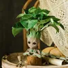 Christmas Decorations Pachira Macrocarpa Plant Pot Purification Air Indoor Living Room Green Radish Flower