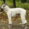 Hundkläder mjuka vinterkläder varm fleece pullover hög krage fast färg tröja fyra benen långärmad husdjurskläder