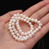 Perlen 6-7mm echte natürliche Süßwasserperle Orange Weiß Lose Perlen für DIY Armband Halskette Zubehör Schmuckherstellung15"Strang