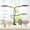 Hode światła pełne spektrum phytolampy DC5V USB LED LED Z Timer Desktop Clip lampy fito dla roślin pudełko kwiaty