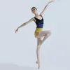 Bühnenabnutzung Samt Ballett Tanz Trikot für Erwachsene Professionelle Tutu Gymnastik Body Klassisches Kostüm JL2310