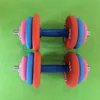 Dumbbells Jynyao Fitness Dip Handbell Ladies Children's家庭の色のペア