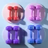 Dumbbells 2PCS FITNESS DUMBBELL WEIGHTSジムスリミングフィットネスボディプラスチック製のダンベル装備を構築する