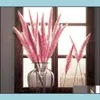 Couronnes de fleurs décoratives 30 pièces brosse fleurs séchées naturelles petites herbes phragmites bricolage décoration de mariage maison artificielle goutte de Dhtmu