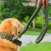 Colarinho de cachorro de colarinho média e grande colarinho husky Golden Retriever Satsuma Wolf Tibetan Mastiff Chain