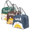 Storage Bags Thermal Insulated Bag Lunch Box For Women Portable Fridge Tote Cooler Handbags Kawaii Food Work