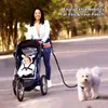 Hondenkragen handsvrije riem met taille riempakket reflecterende strip elastische perfecte wandeltraining verstelbare pasvormen tot