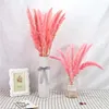 Decorative Flowers 60pcs Pantas Sechees Naturelles Dekoration Pampas Grass Flower Reeds Dry Bulrush Bouquet Phragmites Home Decor Decoration