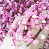 Decorative Flowers Wreaths Gypsophila Baby Breath Million Stars Natural Plant Preserved Dried Home Wedding Christmas Year Decoration Customized 221025