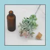 Packing Bottles Frosted Matte Amber White Glass Dropper Bottle 15Ml 30Ml 50Ml With Bamboo Cap 1Oz Wooden Essential Oil Bottles Drop Dhucj