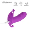 Erwachsene Massagegeräte drahtlose Fernbedienung 10 -Geschwindigkeit Dildo Vibrator Wearable Panties Clitoris Stimulator Spielzeug für Frauen