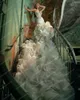 Wedding Dress Charm Ivory Mermaid With Long Train Sexy Deep V-neck Silver Sequin Bridal Dresses Lush Ruffles Tulle Gown