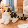 Jouet en peluche de chat de Simulation de 25cm, animaux en peluche réalistes, jouets de poupée pour décoration de chambre d'enfants