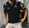 Męskie T-shirty Summer Heads F1 Zamek Koszulka polo Formuła An Alpine Team Alone Niebieski Czarny Casual Krótki rękaw Fani wyścigów