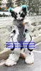 Nero Bianco Pelliccia lunga Furry Wolf Mascot Costume Husky Dog Fox Fursuit Personaggio dei cartoni animati per adulti Outfit Suit Highs Quality Welcome Reception zz7590