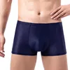 Sous-pants Men Sexy Boxers Mesh Back trous les deux côtés Soufflement des sous-vêtements Boxershorts sous-culte lingerie