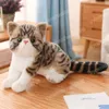 25cm simülasyon kedi peluş oyuncak doldurulmuş hayat benzeri peluş hayvanlar çocuklar için bebek oyuncakları oda dekorasyonu