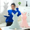 Oreiller 1 pièces haute qualité doux ombre et hérisson en peluche canapé oreillers en peluche décoration de la maison enfants cadeau