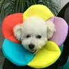 Dog Collars Cat Collar Flower Shape Elizabeth Circle Anti-Bite Ring Pet Recovery Protective Soft Sponge Accessories