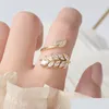 Eheringe Eheringe Koreanische Mode Gold Farbe Fl Cz Verlassen Ring Für Frauen Einstellbar Offenes Design Zirkon Zarte Tägliche Schmuck Dhoca