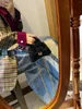 Kvällspåsar 2022 Designer Fashion Autumn Winter Match Hourglass Faux Fur Sherpa Bag Crossbody Chain Small Flap Handbag Pink Black Grey