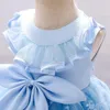 Fille Robes D'été Petites Filles Fleur Pour Les Mariages Bleu Dentelle Toddler Anniversaire Robe Bébé Floral Tulle 6 M-5 Ans