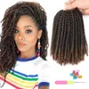 8 Zoll Spring Twist Hair Spring Twist Häkelhaar 30 Stränge/Packung Bomb Twist Kurzes, flauschiges Häkelgeflecht Synthetische Flechthaarverlängerungen LS33Q