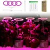 Grow Lights LED Angel Ring Light DC5V USB Phytolamp For Plants Full Spectrum Lamp Indoor Plant Seedlings Home Flower Succulet