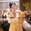 10 Styles Sweet Bear Pig Alpaca Fox Toys de luxuos