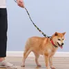 犬の首輪子犬ロープ360度回転ペットトラクションリーシュウォーキング