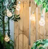 Strings 7M LED Globe String Fairy Lights Natale Outdoor Camera da letto impermeabile Wedding Garden Party Patio Decoration Light