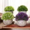 Dekorative Blumen Zement Pflanze Beh￤lter Handgemachte Geschenksimulation K￼nstliche Blume Bonsai Gr￼ner Blumenpot Home Office Desktop Topf Topf