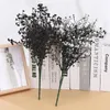 Dekorativa blommor simulering svart eukalyptus blad falska blommor konstgjorda v￤xter gr￤s tr￤dg￥rd br￶llop bord dekor veranda ormbunkar enkelt hem