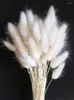 Flores decorativas Pampas Grass Arranjo de Flor Seco Natural Casamento Itens de Decurção de outono Alto Mariage por atacado artificial