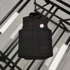 Donsjack Vest Warm houden heren stylist winterjas mannen en vrouwen dikke buitenjas essentiële koude bescherming EU MAAT XS-2XL