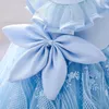 Fille Robes D'été Petites Filles Fleur Pour Les Mariages Bleu Dentelle Toddler Anniversaire Robe Bébé Floral Tulle 6 M-5 Ans