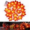 Строки Chrismas Decor Decor Pumpken Maple Light String Braygiving Festival Festival Festival Holiday освещение