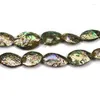 Catene 20x30 mm guscio di abalone zelande naturale per gioielli bracciale di collana fai -da -te che producono 15quot;