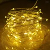 Corde 2pcs USB Led Stringa di filo di rame Luce leggiadramente Ghirlande Lampione da esterno per albero di Natale Giardino Decorazione di nozze fai da te