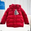 2022デザイナーの男の子の女の子コート秋の冬のブランドキッズデタッチ可能なジャケットの羽毛羽カジュアルジャケット幼児の子供の服アウターウェアコート