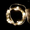 Strängar 10 m 100Led Fairy Light LED Copper Wire String Lights Outdoor Garland Wedding For Home Christmas Garden Holiday Decoration