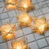 Cordes 20 LED RATTAN Star String Lights Decoration Christmas Fairy Garland for Intérieur Party Outdoor Wedding Holiday Decor