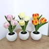 Night Lights LED Tulip Light Flower Flowerpot Potted Plant Table Decoration Lamp Bedroom Atmosphere Home