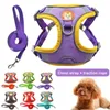 Colarinhos de cães 2pcs/conjunto de chicote de estimação do kit de treinamento universal de cães para pequenos meduim