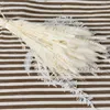 Dekorativa blommor 80st Pampas Grass Natural Dried Pampa Bouquet Boho Home Decor Flores Secas Arrangement Eucalyptus Reed Tails