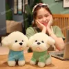 25/35/45cm Kawaii Teddy Dog Plush 장난감 사랑스러운 동물 개 착용 스웨터 인형 어린이 생일 장식을위한 부드러운 박제 베개