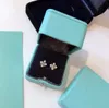 Luxury Schlumberger Charm Earrings Designer S925 Sterling Silver Gold Cross Square Zircon Crystal Earrings for Women With Box