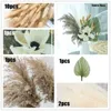 Decoratieve bloemen Palmbladeren Pampas Gras Gedroogde bloemboeket Tropisch ventilatorblad Natuurlijk voor bruiloft Decoraties Arch arrangement Party